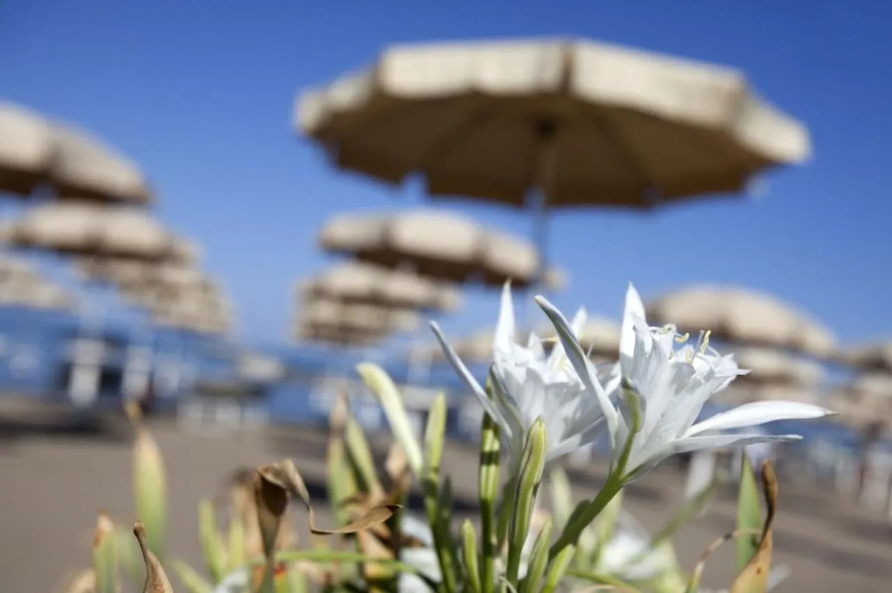 La Rotonda Sul Mare - Bilocale 3 Posti Apartment Albinia